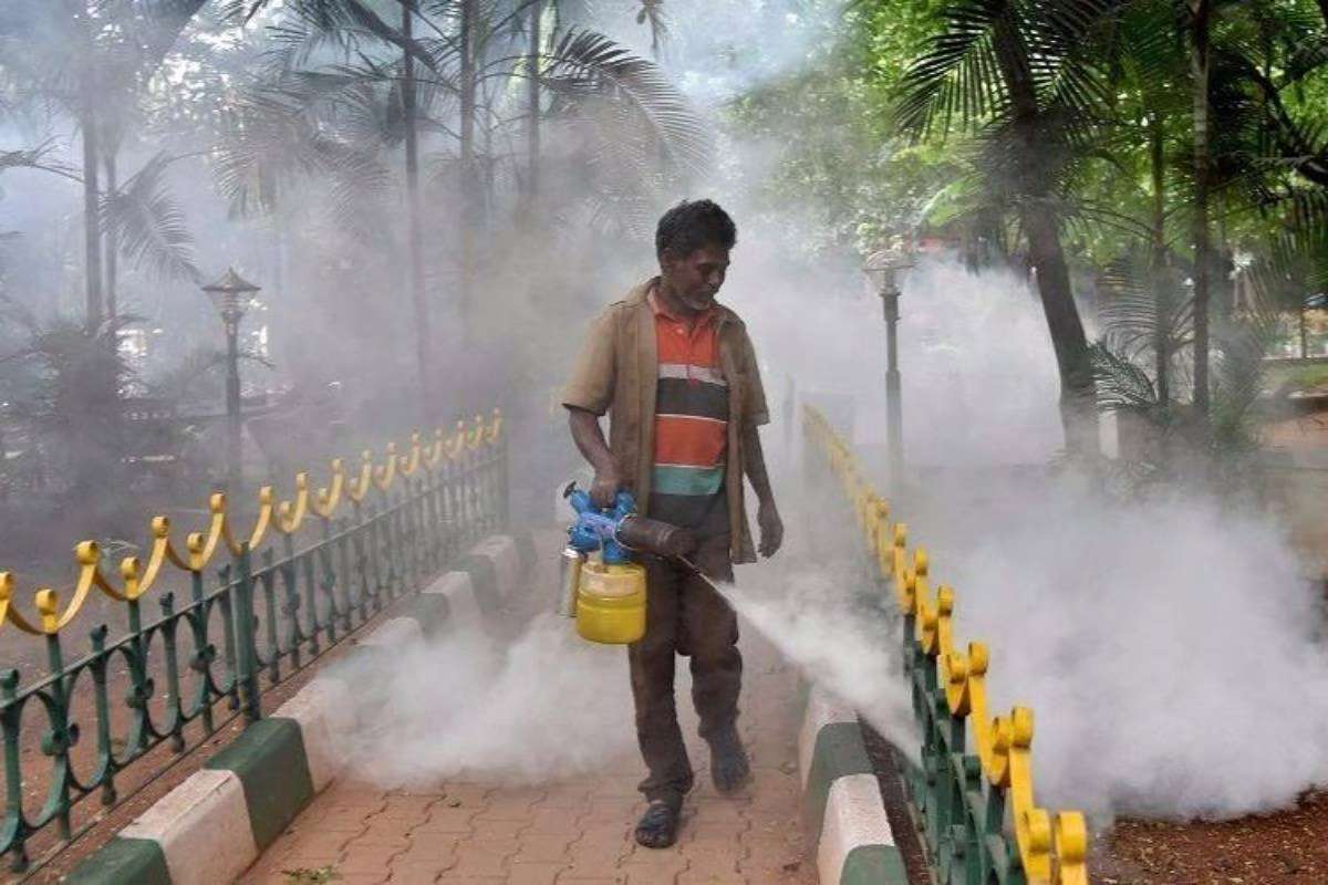 Mosquito Control Efforts in Chennai