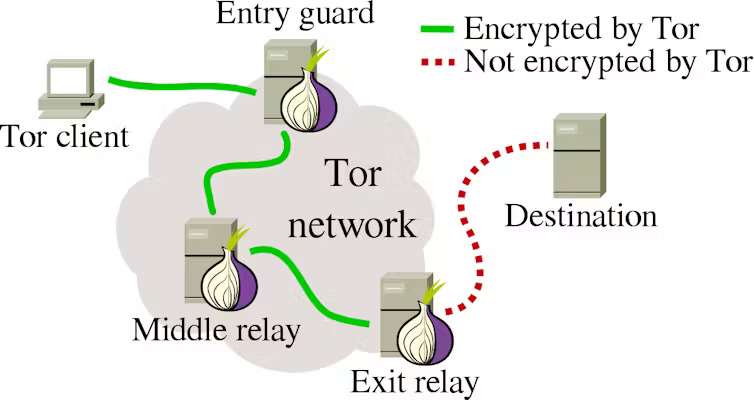 A Comprehensive Guide to Tor Browser